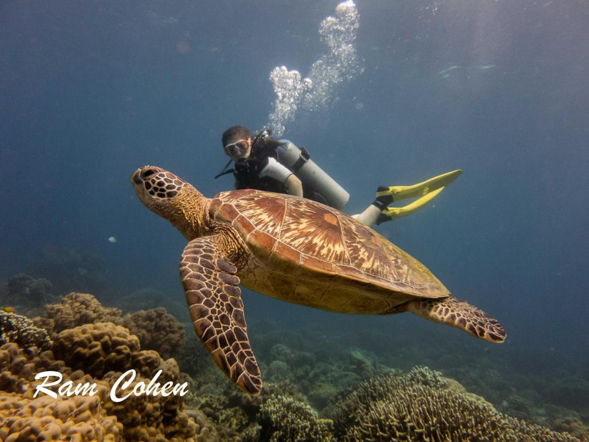 Lavanya Beach And Dive Resort Zamboanguita  Экстерьер фото
